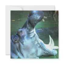 Hippo Invitation