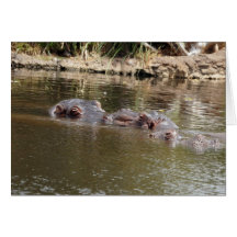 Hippo Kissing Greeting Card