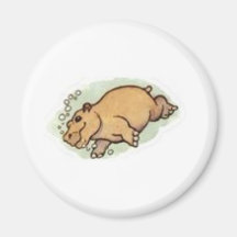hippo magnets