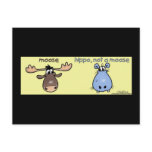 Hippo-not-a-moose!