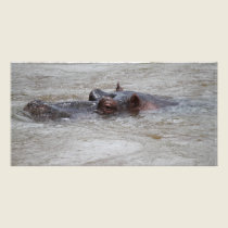 Hippo photo cards