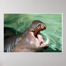 Hippo Print