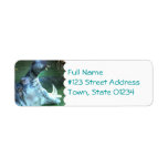 Hippo Return Address Mailing Label