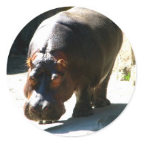 Hippo Sticker