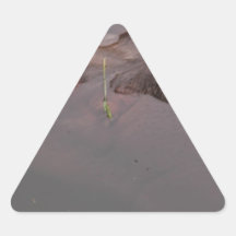 Hippo Sticker