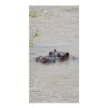 Hippo Vertical Photo Cards