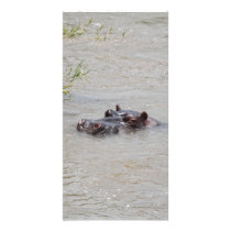 Hippo Vertical Photo Cards