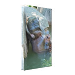 Hippo Wrapped Canvas Stretched Canvas Prints