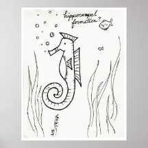 Hippocampal Formation print