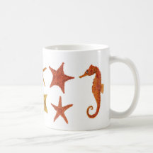 Hippocampes et tasse d'étoiles de mer
