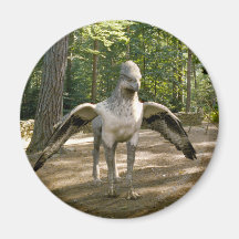 Hippogriff Refrigerator Magnet