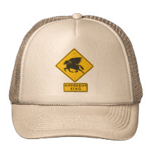 Hippogriff XING Trucker Hats