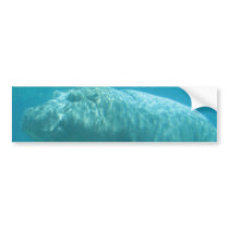 Hippopatumus Habitat Bumper Sticker