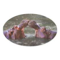 Hippopotami Hippopotamus Amphibius Trying to Kiss Oval Sticker