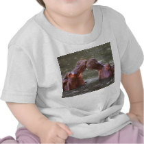 Hippopotami Hippopotamus Amphibius Trying to Kiss Tee Shirt