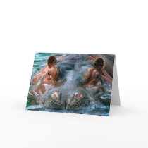 Hippopotamus #1-Greeting card