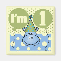 Hippopotamus 1st Birthday Tshirts and Gifts Magnets
