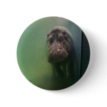 Hippopotamus Abstract #2 Button