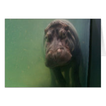 Hippopotamus Abstract #2 Greeting Card