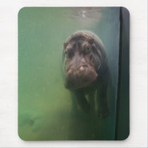 Hippopotamus Abstract #2 Mouse Pads