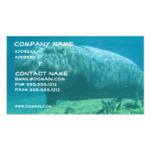 Hippopotamus Business Card
