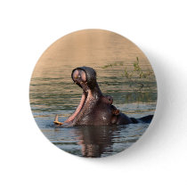hippopotamus pins