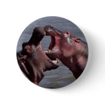 hippopotamus pinback buttons