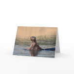 hippopotamus greeting cards