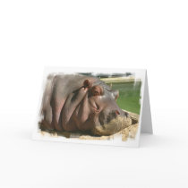 Hippopotamus Greeting Card
