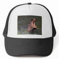 hippopotamus hat