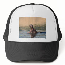 hippopotamus trucker hat