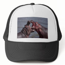 hippopotamus hat
