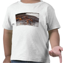 Hippopotamus, Hippopotamus amphibius, Lake T-shirt