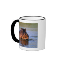 Hippopotamus in River Coffee Mug