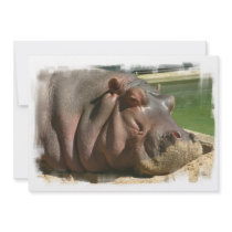 Hippopotamus Invitation