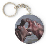 hippopotamus keychain