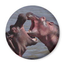 hippopotamus fridge magnet