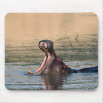 hippopotamus mouse pads