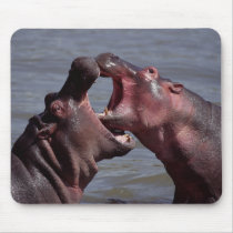 hippopotamus mouse pads