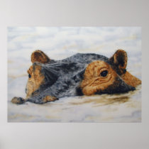 hippopotamus poster
