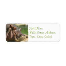 Hippopotamus Return Address Label