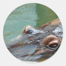 Hippopotamus Round Stickers