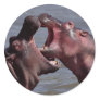 hippopotamus stickers