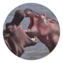 hippopotamus stickers