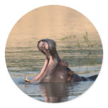hippopotamus round sticker