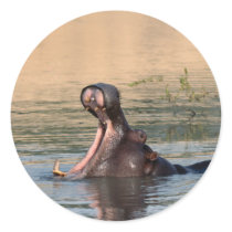 hippopotamus round sticker