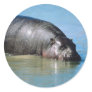 hippopotamus stickers