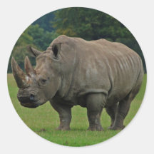 Hippopotamus stickers