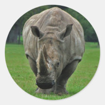 Hippopotamus stickers