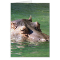 Hippopotamus Swimming On The Surface Greeting Card